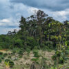 Deforestation in the Amazon in 2022. Photo by Rhett Ayers Butler / Mongabay