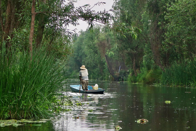 Water scarcity has been a problem for Xochimilco residents for a long time, even before the recent drought, due to the overexploitation of its aquifers that supply neighboring urban areas and megaprojects.