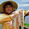 Torosiaje fisherman's octopus harvest.