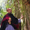 Aba Gebreselassie stands near a big tree in the forest around Ura Kidane Mihret Monastery in the Zege peninsula, Ethiopia.