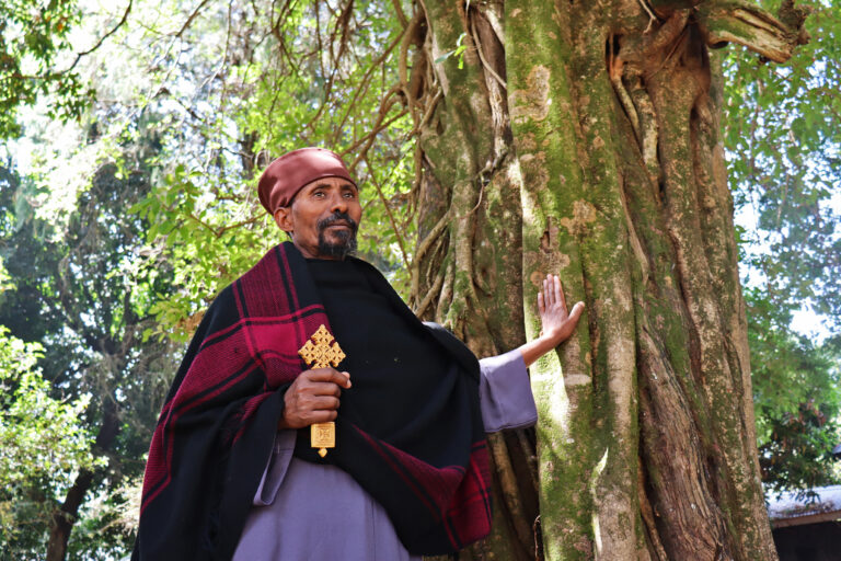 Aba Gebreselassie stands near a big tree in the forest around Ura Kidane Mihret Monastery in the Zege peninsula, Ethiopia.