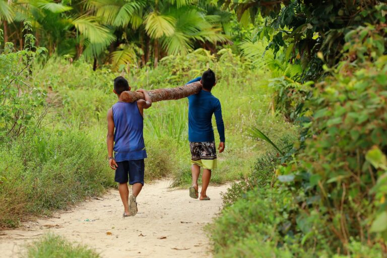 Two Yanomami men carrying wood in the Amazon forest.