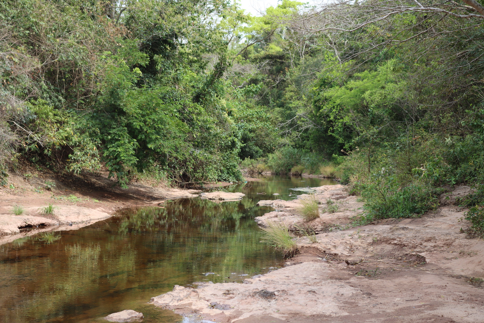 A stream in Amboró National Park. Image by Iván Paredes.