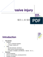 Corrosive Injury 20061227-1