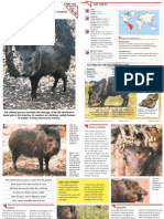 Wildlife Fact File - Mammals, Pgs. 161-170