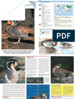 Wildlife Fact File - Birds - Pgs. 301-310