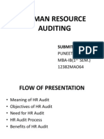 Human Resource Auditing