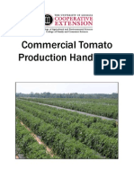 Tomato Cultivation Short