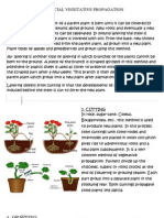 Artificial Vegetative Propagation