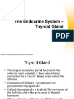 The Endocrine System - Thyroid Gland: Department of Physiology Diponegoro University Faculty of Medicine