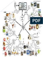 Survival of Species Mind Map