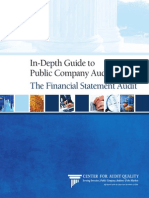 In Depth Guide To Public Company Auditing