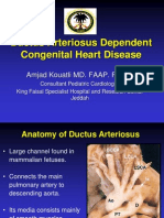 Ductus Arteriosus Dependent Congenital Heart Disease: Amjad Kouatli MD. FAAP. FACC