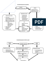 Pathophysiology of Some GI Disorders