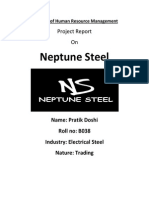 Neptune Steel: Project Report On