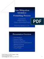 Dam Mitigation: Dam Mitigation: NYSDEC NYSDEC Permitting Process