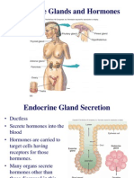 Endocrine Glands and Hormones