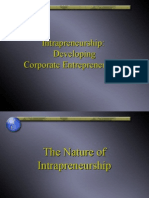 Intrapreneurship: Developing Corporate Entrepreneurship