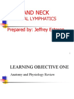 4th Lecture HeadNeck and Lympatics