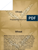 Wheat