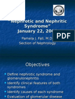 Nephrotic and Nephritic Syndrome - 2008