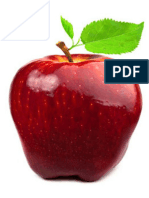 Investigation On The Effect of Nano Zeolite and Potassium Permanganate On The Shelf Life Extending and Quality of Red Delicious Apple