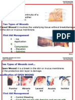 Mod 6 Soft Tissue Injuries