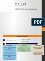 Forensic Audit: Prepared by - Ameer Shafiq Bin Kamalullail