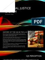 Criminal Justice System-1