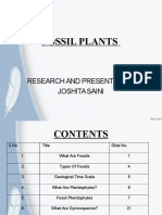 FOSSIL PLANTS Updated