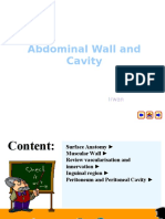 Abdominal Wall