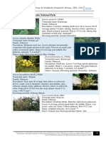 Flora of Bannerghatta National Park: Acacia Caesia (L.) Willd
