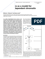 Meaney Epigenetics