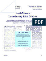 AML RiskModels