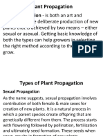 Plant Propagation - Is Both An Art and