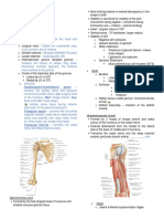 2.08 Brachial Region (Arm) - Compartments, Muscles, Nerves, and Vessels