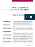 Mycoplasma Contamination