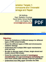 Radiation Targets 1: DNA, Chromosome and Chromatid Damage and Repair