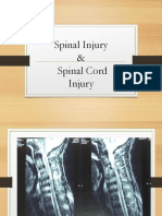 Spinal Injury & Spinal Cord Injury