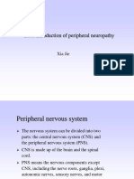 Acute Inflammatory Demyelinating Polyneuropathy