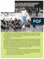 Mango Orchard Based Poultry Farming