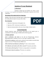 Mohamed Zain Eldein - Examination of Large Ruminant