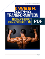 12 Week Alpha Transformation PDF