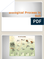 Biological Process in Soil: Mayrina Firdayati