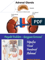 Kuliah Adrenal