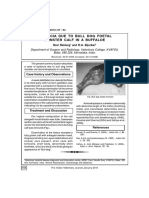 Dystocia Due To Bull Dog Foetal Monster Calf in A Buffaloe PDF