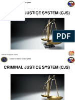 1.2 Criminal Justice System