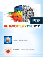 Neuroplasticity