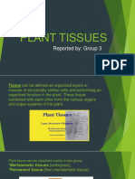 Plant Tissues