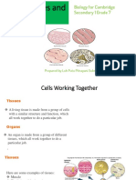 3.11 Tissues and Organs For Students PDF